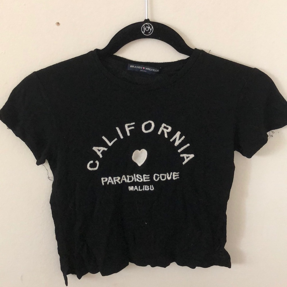 Brandy Melville California crop top